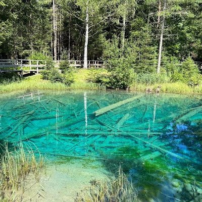 menge23937's profile picture. 