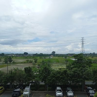 Noelagra's profile picture. 