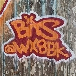 Bits NightTrain Host Tuesdays 6pm PSTさんのプロフィール画像