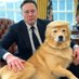 Elon and the Felon (@presidentmosk) Twitter profile photo Elon and the Felon (@presidentmosk) Twitter profile photo