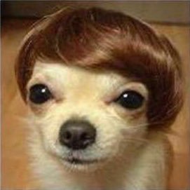 jaka340622's profile picture. 