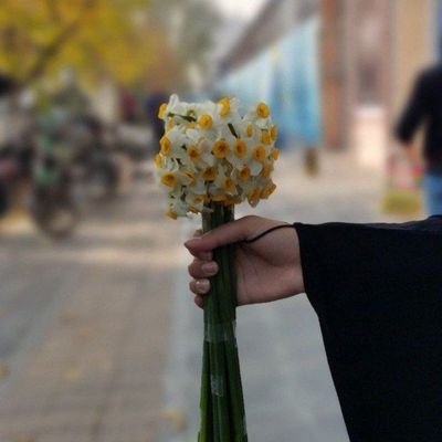 👩🏻🎓 ادیتور ، دستی درنقاشی دیجیتال ،یقیناً کُلهُ خیر🤍🌱...