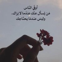 محمد عثمان الغامدي (@m_kha5532) 's Twitter Profile