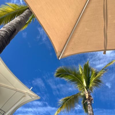 janekleimunt's profile picture. General chit chat, involves oneself with theatre, loves to travel, dabbles in the garden, baker & cook, loves a challenge! life is for living! let's do it