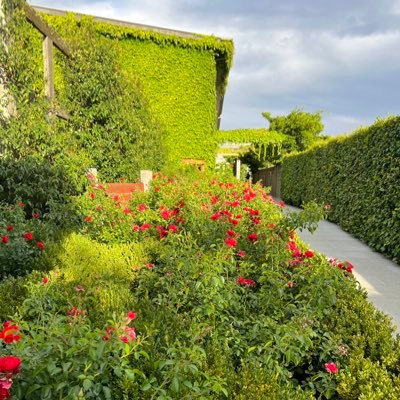 crackedshotsx's profile picture. a Sydney man