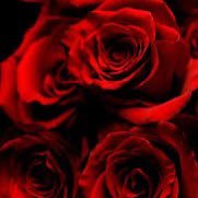 ام البراء🌸 (@saboha1444) 's Twitter Profile