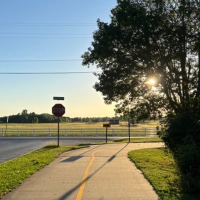 ShafiqFraz's profile picture. 