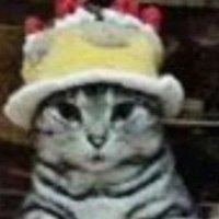 amo_piroca (@strawberry_uva_) 's Twitter Profile