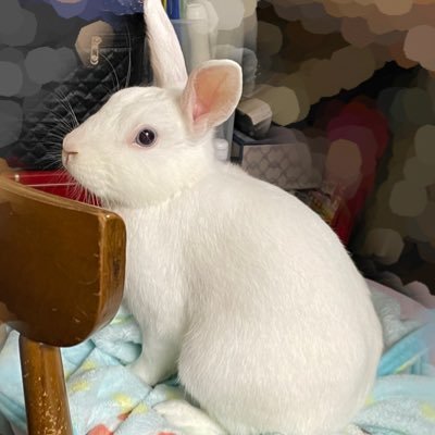 yoyoiさんのプロフィール画像