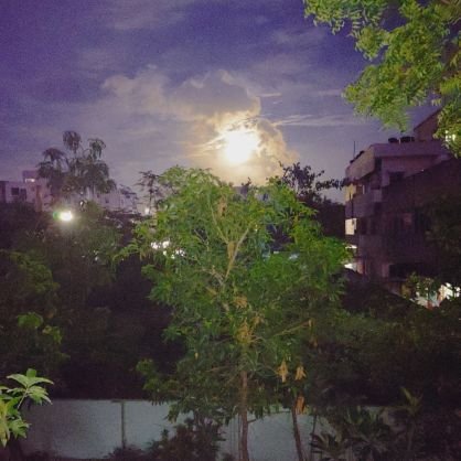 karssocial1's profile picture. sharing different insights 🌎
Investor And Trader