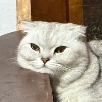 อ้ออ้อ (@aoraorvhvvhv) 's Twitter Profile Photo อ้ออ้อ (@aoraorvhvvhv) 's Twitter Profile Photo