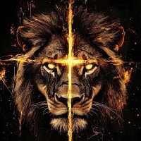 C (@cobberaz) 's Twitter Profile Photo