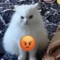 qqw (@qqw_wwq_eew) 's Twitter Profile