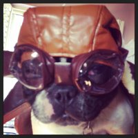 Ana Cavaletta (@acavaletta) 's Twitter Profile