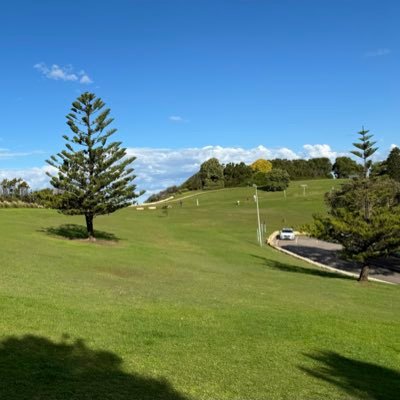 WWW78724493's profile picture. To Be or Not To Be