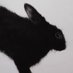 ♱ PERCIVAL (@depraved_rabbit) Twitter profile photo ♱ PERCIVAL (@depraved_rabbit) Twitter profile photo