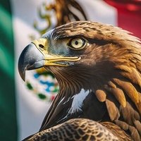 Daniel Jiménez G. I. 🦅 (@traviesodaniel9) 's Twitter Profile Photo
