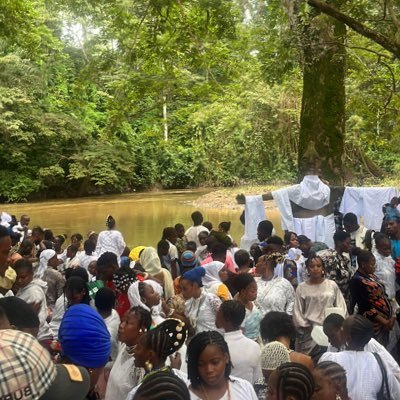 osarile122501's profile picture. Well come to the house of IFA