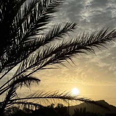 ITUEsraa1410's profile picture. 