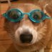 Rudolph Freshokowski (@rudi_fresh) Twitter profile photo Rudolph Freshokowski (@rudi_fresh) Twitter profile photo