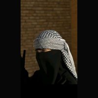 ceasefire now 𓂆🇵🇸 | snowflake ❄️ (@fjollehaxhiu1) 's Twitter Profile