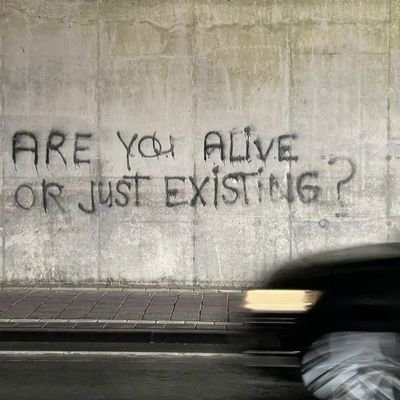 society_chris's profile picture. Life is too short to be normal