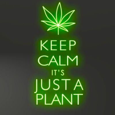 An all inclusive safe space for Florida MMJ patients, advocates, and industry professionals over the age of 21.
Removing the stigma behind cannabis