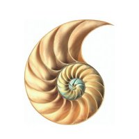 Overbury (@overburyplc) 's Twitter Profile