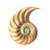 Overbury (@overburyplc) Twitter profile photo Overbury (@overburyplc) Twitter profile photo