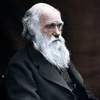 Darwin (@florippondioo) 's Twitter Profile