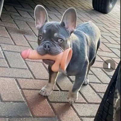 Markospap126349's profile picture. 