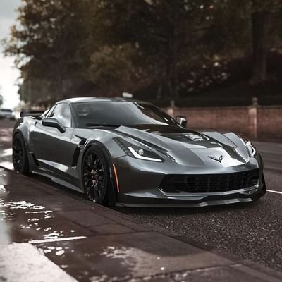 Marcelostedox's profile picture. 