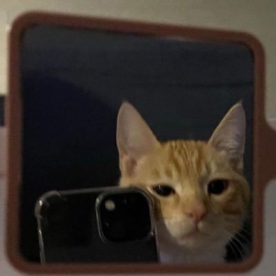 maaliiki's profile picture. 1% crypto - 99% me being me