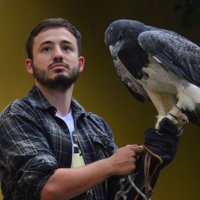 Victor Hugo Machado (@victor_hugo_bio) 's Twitter Profile