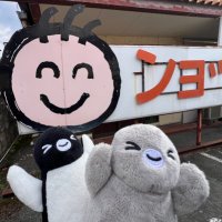 ぺンぎンちゃんページ 81z3QHCAdfL._UF350,350_QL50_.jpg