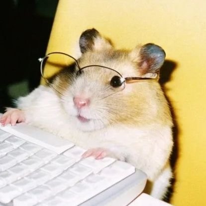 shrimplminded's profile picture. im an adult!!!!!
they/them