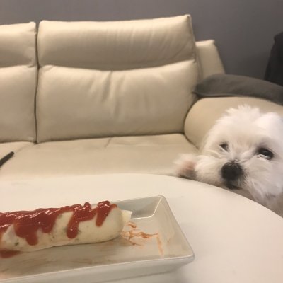 jaymin1413's profile picture. 고맙습니다.
