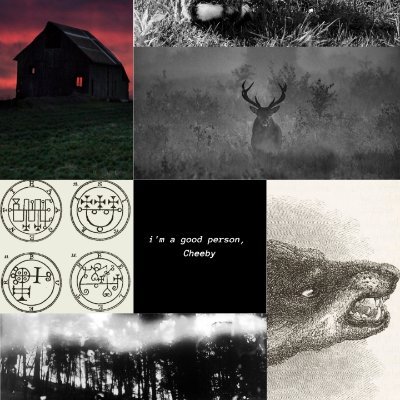 feleciaburgett's profile picture. Fantasy writer, snake lover, dragon fanatic, lesbian, chaos witch