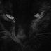 ••Morena•• (@___asena__) Twitter profile photo ••Morena•• (@___asena__) Twitter profile photo