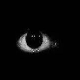 I make with the Horror and Tragedy (Content Creator)
-Author of The Yor Varbelum, Mages on Row and Calm of No-One.
Sub to thy Youtube (Nhagost Tumarelll)