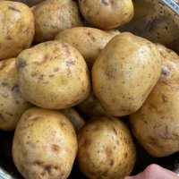 あらびー🥔 (@k_potato_k) 's Twitter Profile Photo あらびー🥔 (@k_potato_k) 's Twitter Profile Photo