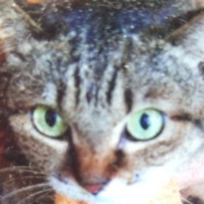 魚民のみなさんと仲良くなりたいです。よろしくお願いします🥰/深海/サカナクションのサカナクションあたりからNFメンバー/サカナクション以外にもたくさん聴きますが特にRADIOHEAD.やはり寝ても起きてもサカナクションです/好きな食べ物タケノコと萩の月🫠塩醤油加減に限りなく限界に近くまでこだわる😇ダイエット中🏃