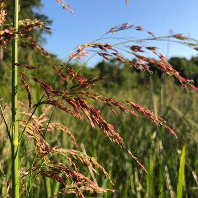 racingfan1986's profile picture. Domestic Goddess, Soul in a meat suit, Cat Lover, Chicken Tender, Tree Hugger. ♋️♏️♋️     And so, being young and dipt in folly, I fell in love with melancholy.