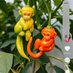 Loc Tran Van (@loctranvan24146) Twitter profile photo Loc Tran Van (@loctranvan24146) Twitter profile photo