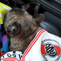 Mari (@world_lyp) 's Twitter Profile
