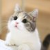 Ray (@rayvlrt) Twitter profile photo Ray (@rayvlrt) Twitter profile photo