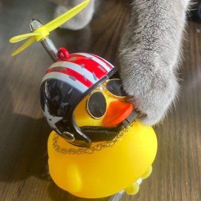 げろしゃぶ(イノフ)さんのプロフィール画像