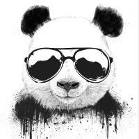 Ist And ๐ธ (@istanddone) 's Twitter Profile
