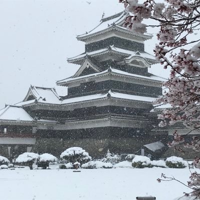 ukonminazuki's profile picture. 出雲大社で縁結びの祈祷中に私の祈祷札が三包から落ちた。大国主神は存在する。私のあの子への想いは届かない。