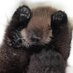 otterwx (@ottxrwx) Twitter profile photo otterwx (@ottxrwx) Twitter profile photo